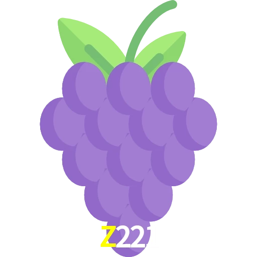Z221